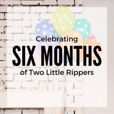 Celebrating Six Months Blogging